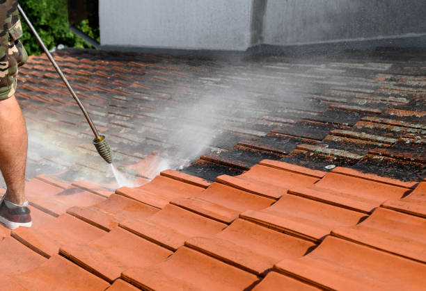 Best Roof Power Washing Services  in North Sioux City, SD